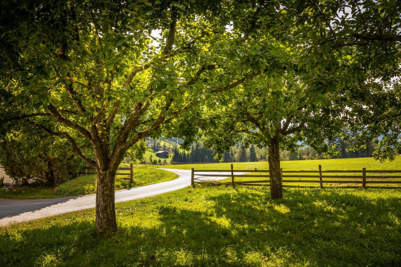 Bio-Bauernhof Obertrattenbachhof Neukirchen am Großvenediger Exteriér fotografie